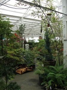 olympia gardening nursery