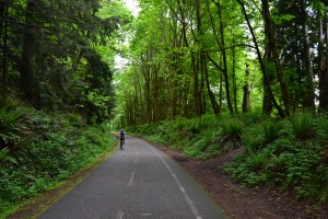 The Western Chehalis Trail is nearby for avid walkers and bicyclists.