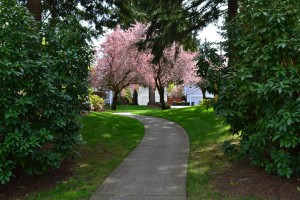  Long lasting quality and Beautiful landscaping are a hallmark of all Rob Rice communities.