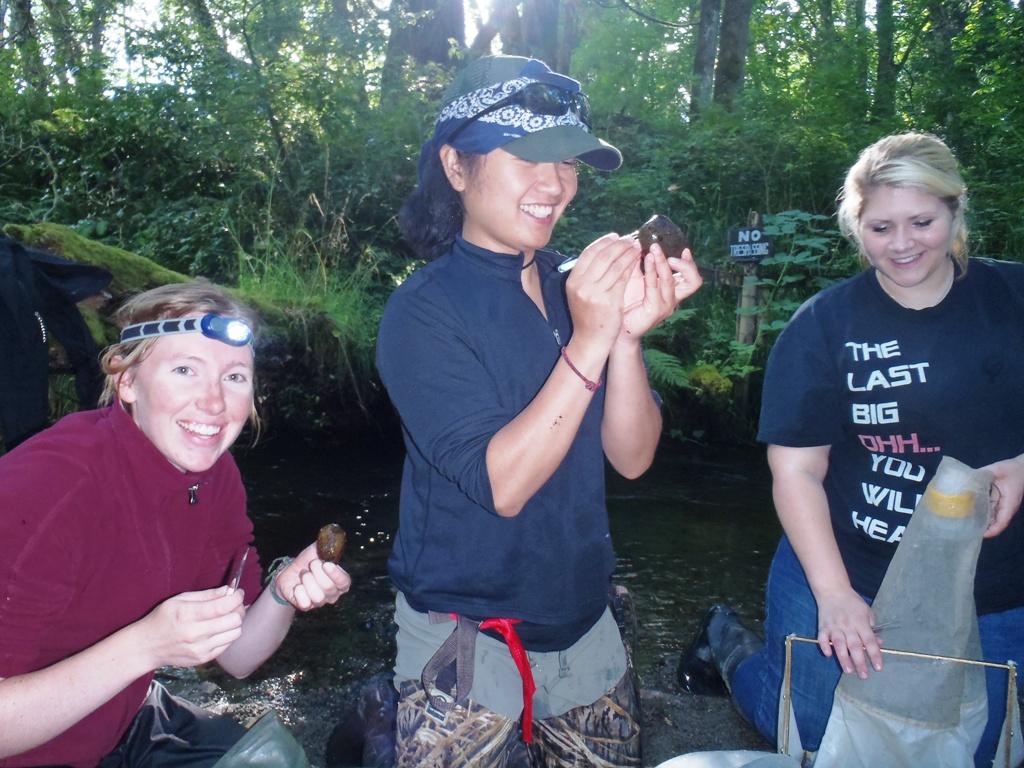stream team olympia teen volunteer