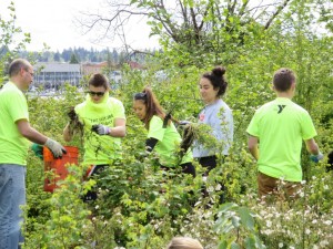 olympia teen volunteer