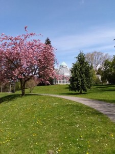 Tour exotic gardens at the W.W. Seymour Botanical Conservatory and stay to play in surrounding Wright Park.