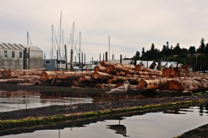 olympia waterfront