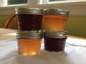 jars of jam