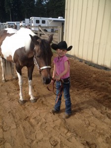 thurston county equestrian