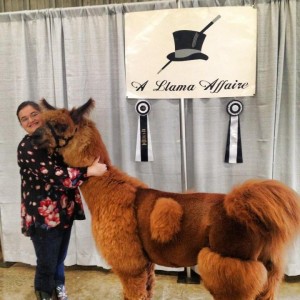 thurston county fair