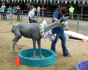 thurston county fair