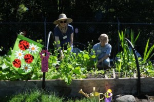 dirt works garden