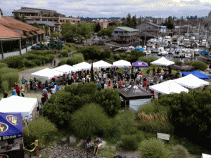 oly brew fest