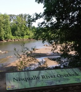 nisqually wildlife refuge