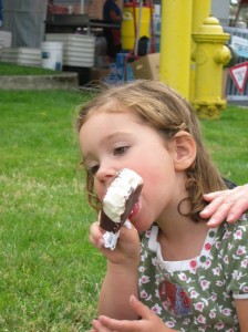 thurston county fair