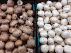 ostroms mushrooms