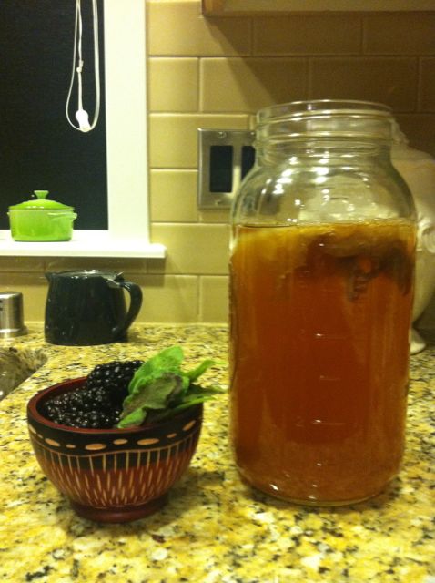 olykraut fermented food olykraut