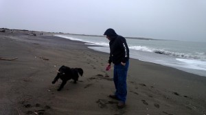 dog walk olympia