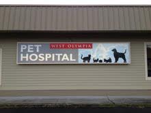 west olympia pet hospital