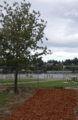 port of olympia trail