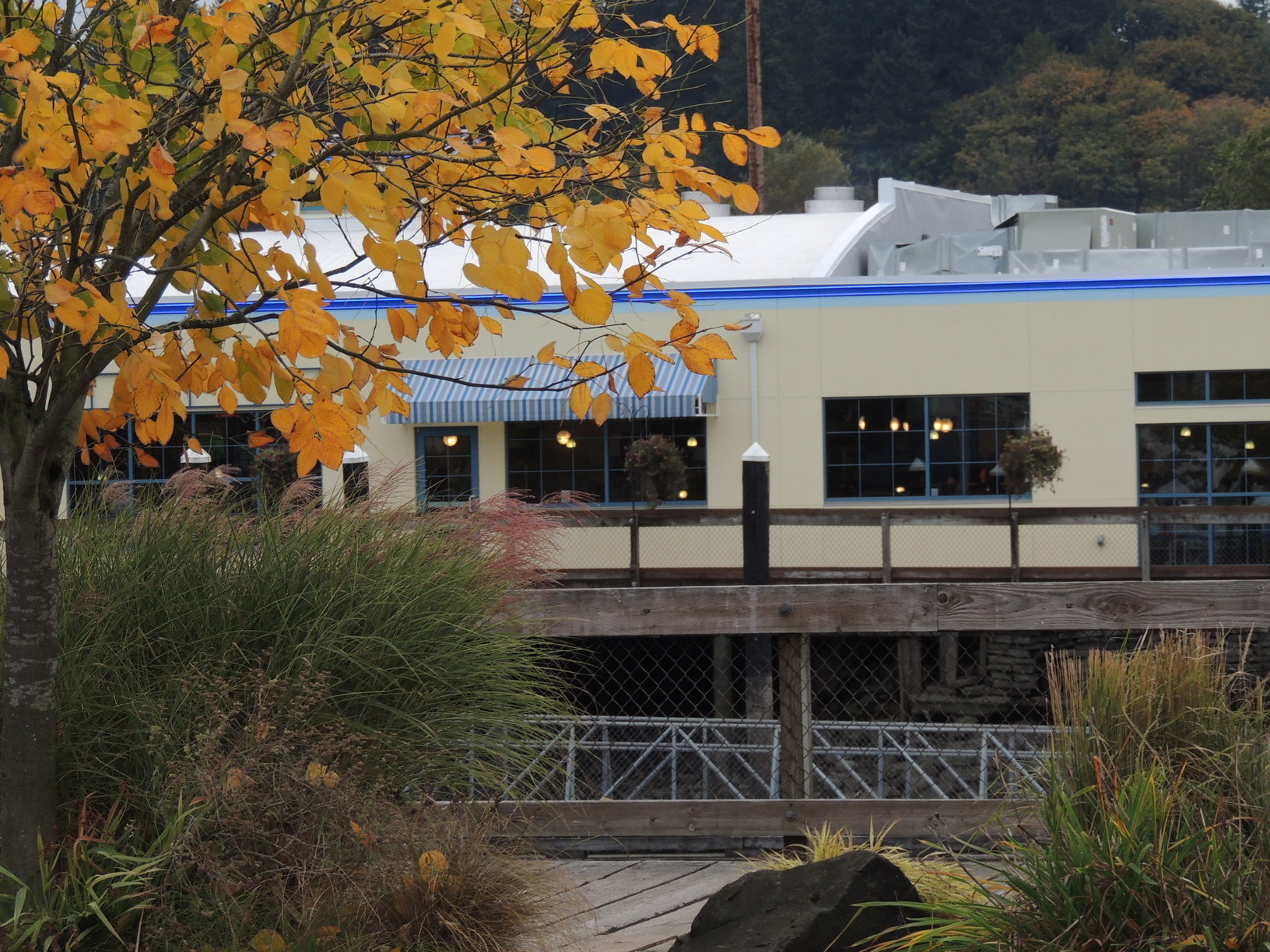 olympia oyster house new owners