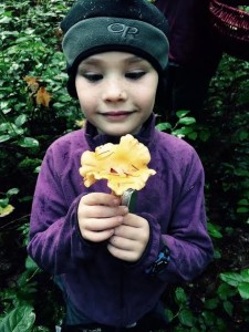 mushroom hunting with kids