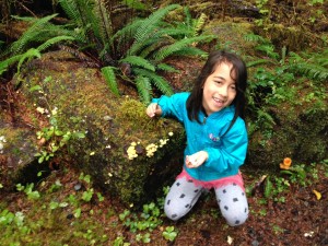 mushroom hunting kids