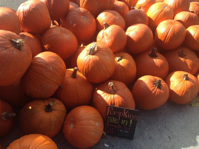 pumpkins olympia