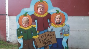 olympia pumpkin patch