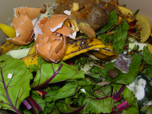 olympia food composting