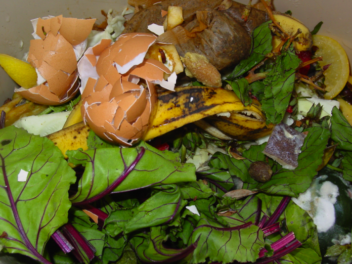 olympia food composting