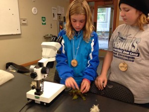 CCA Sixth grade is currently (September-November) working on a nine week interdisciplinary STEM study of Volcanoes, Earthquake and Natural Disasters.