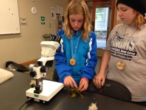 CCA Sixth grade is currently (September-November) working on a nine week interdisciplinary STEM study of Volcanoes, Earthquake and Natural Disasters. 