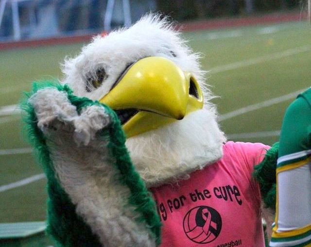 Maggie tumwater mascot featured tumwater mascot