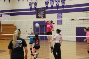 north thurston volleyball