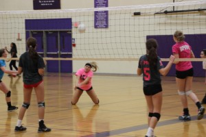 north thurston volleyball