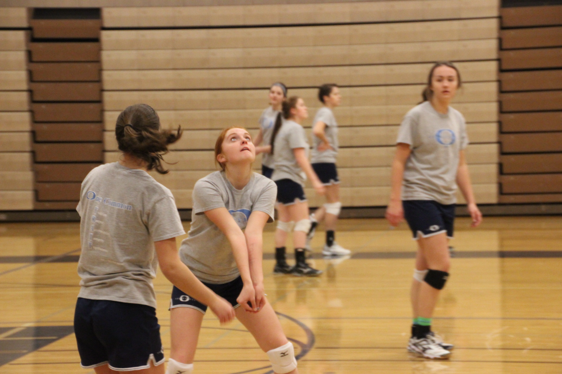 Teamwork Pays Off with Olympia's Visit to the State Volleyball