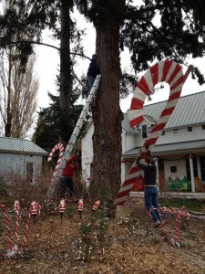 olympia holiday lights