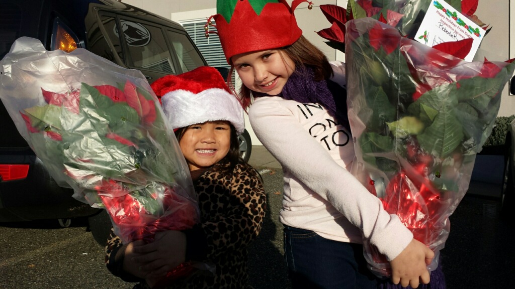 Boggs Poinsettias olympia home inspector