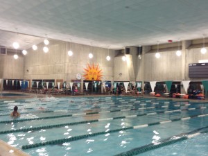 The boys and girls CHS swim teams practice at the The Evergreen Swim Pool. 