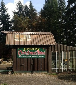 The Johnson's added the tree farm, realizing their holiday business could grow and utilize their acreage. 