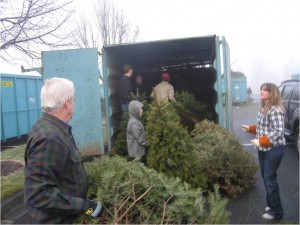 christmas tree recycling