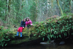 The unique forests of the Pacific Northwest are lush and green, even in the winter, amazing guests from areas with "real winter."