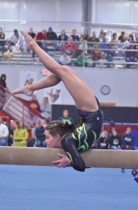 high school gymnastics