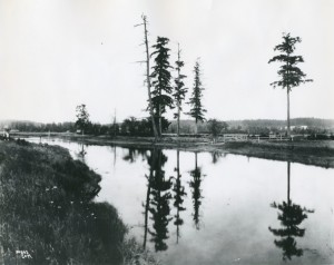 The site of the Medicine Creek Treaty