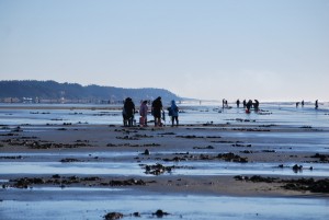 Razor Clamming Moclips (6)