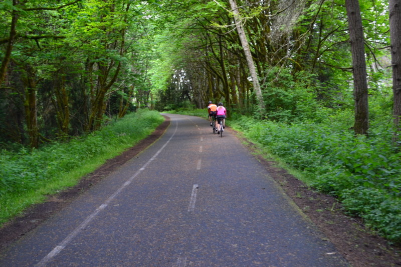 Rob Rice Chehalis Western trail