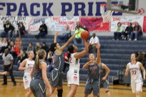 black hills basketball