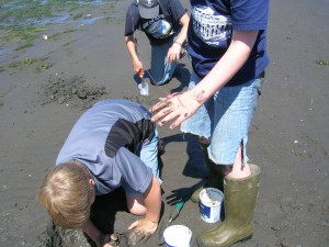 nisqually reach