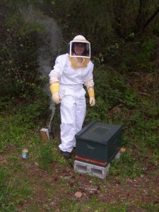 olympia beekeeper