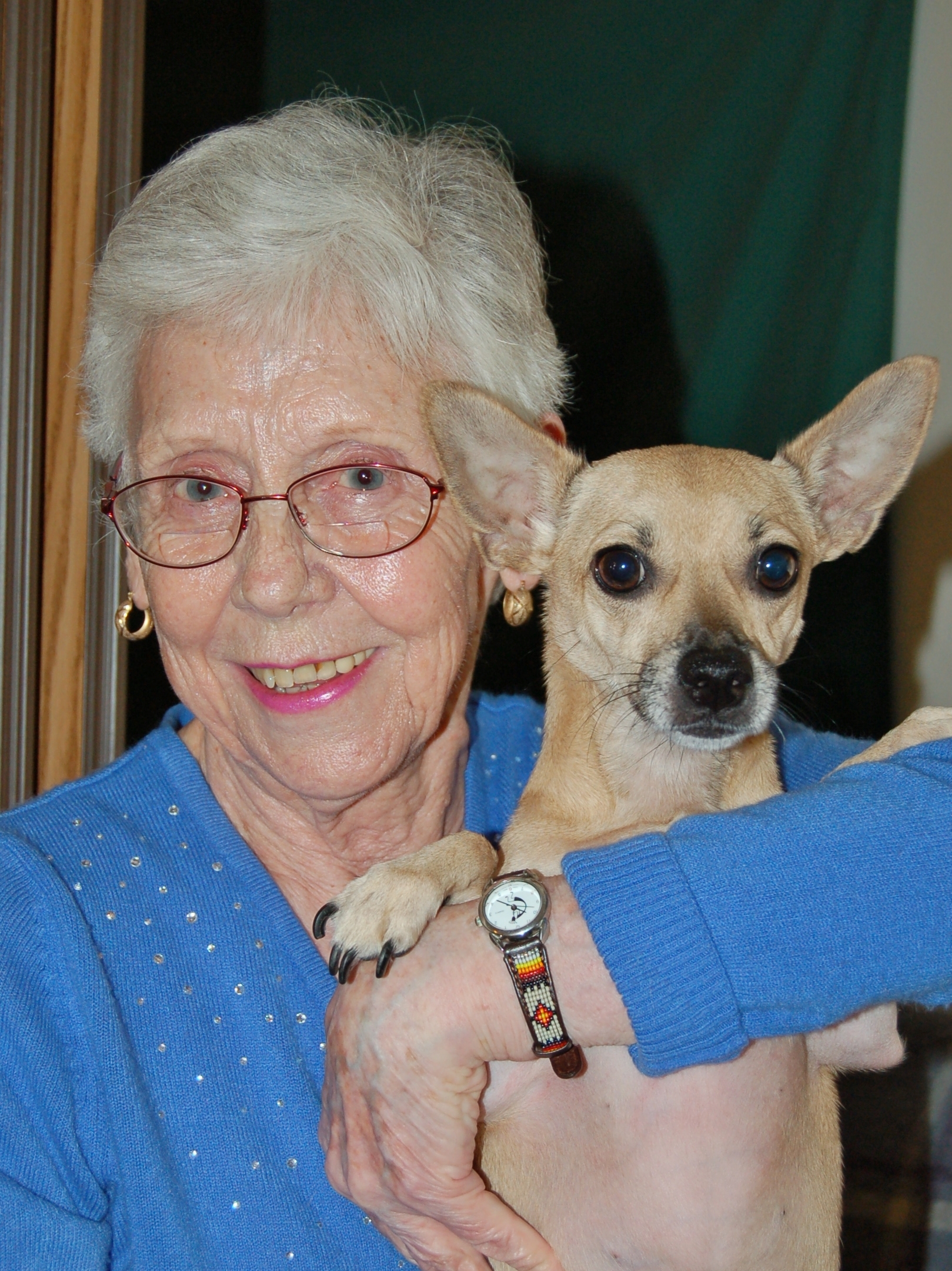 senior pet senior pet food delivery
