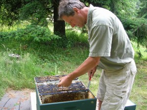 beekeeping olympia