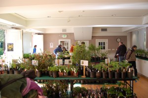 native plant sales