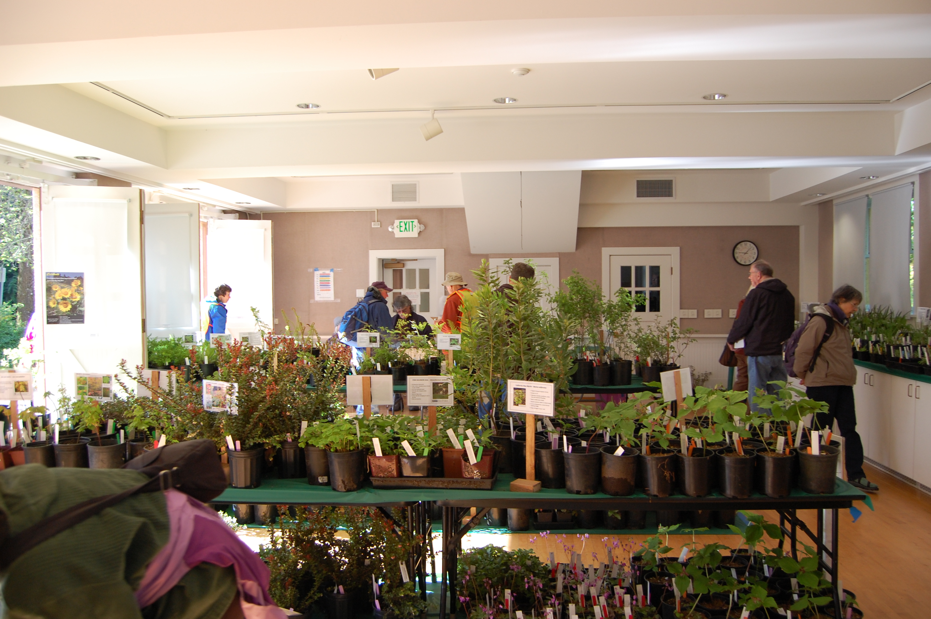 WNPS Plant Sale Spring 2014 004 native plant sales